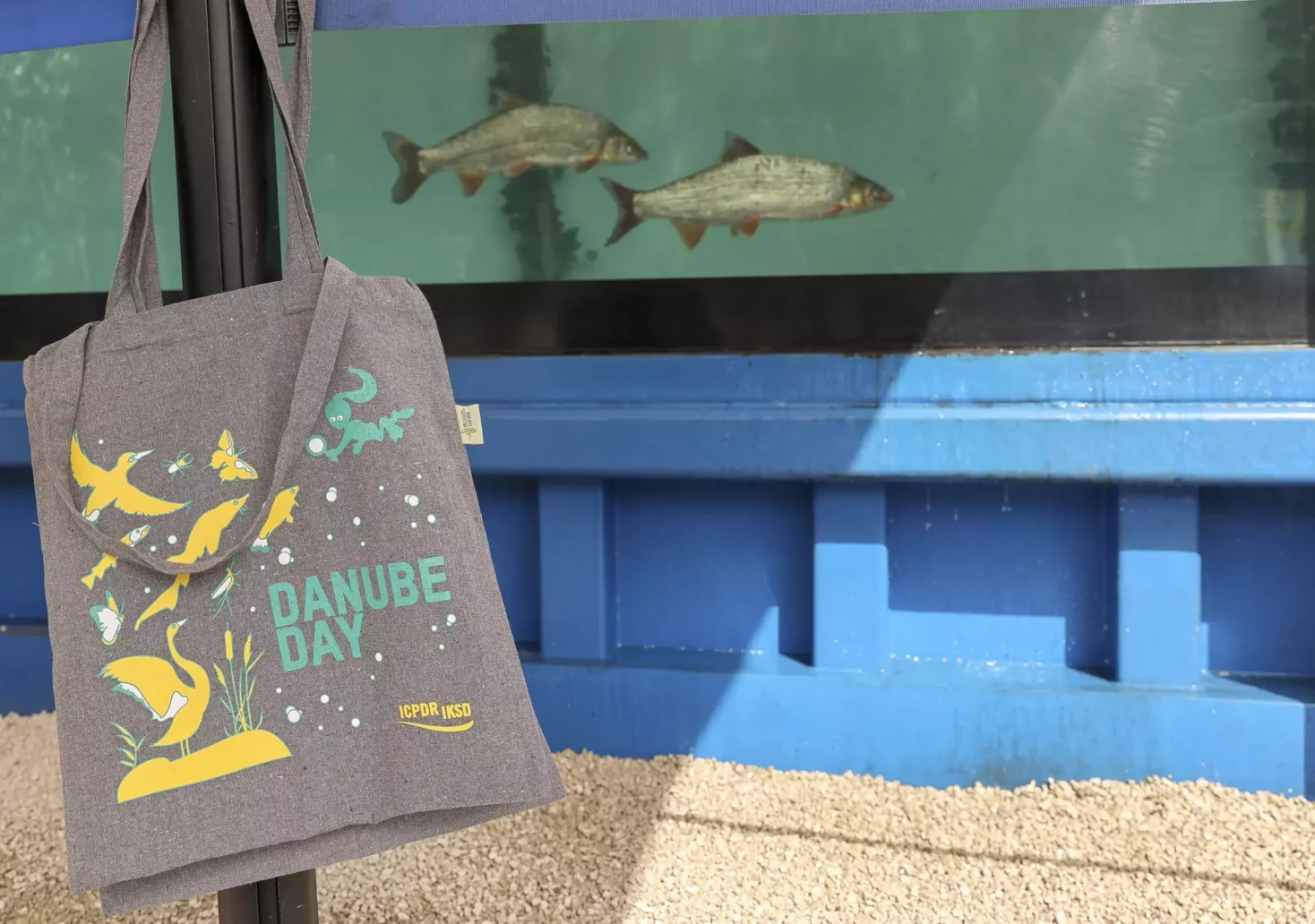 Europas größtes mobiles Aquarium begeistert mitten in Wien für Donau-Schutz