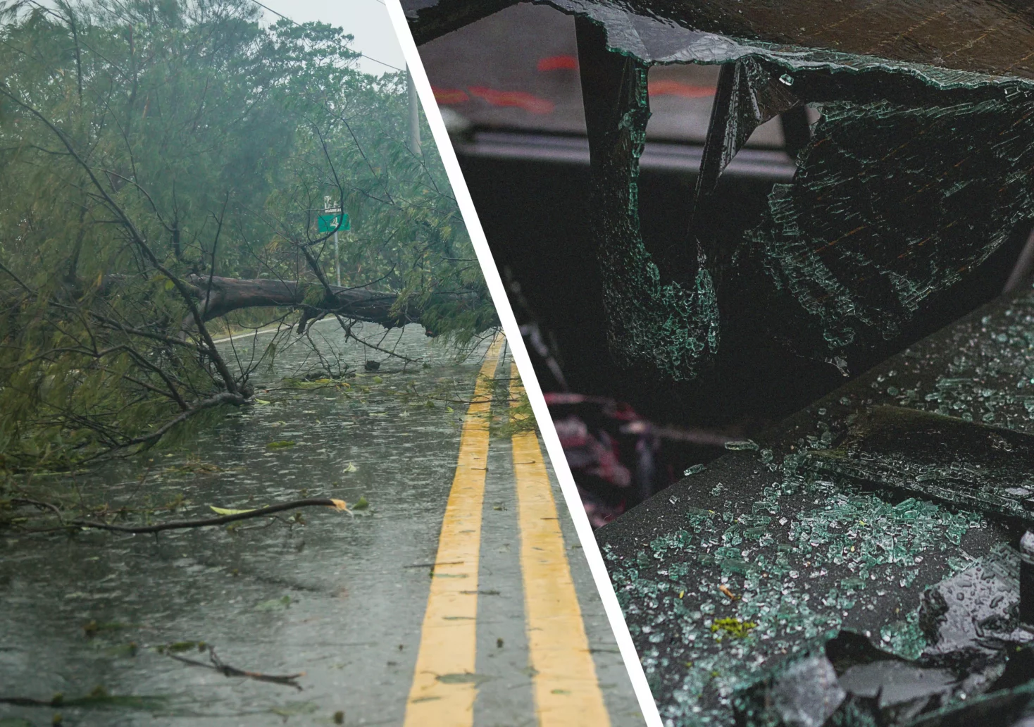 Ein Bild auf 5min.at zeigt einen umgestürzten Baum und ein kaputtes Auto